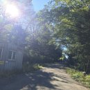 명산사슴농장 이미지