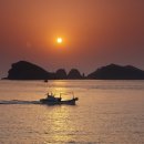 추자대물민박 이미지