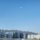 넬슨신 애니메이션아트 박물관 이미지