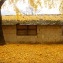 의동마을 이미지