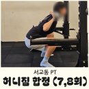 피티솔루션 | 서교동 PT 허니짐 - 통증 케어 전문 피티 7,8회차 후기
