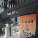 트라이브 | 대전 관저동 크로스핏 찾는다면? 낭만트라이브 후기