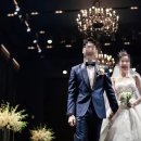 인사이트 이미지