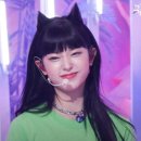 톰과재리 Daum카페