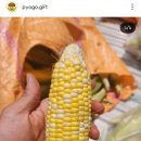 표고버섯선물가게 이미지