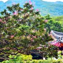 영천 정각리 삼층석탑 | 영동여행 가볼만한곳 천년사찰 백화산 조계종 반야사 보물 삼층석탑 문수전