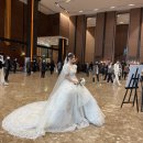 영우축사 | 대전 icc 1층 크리스탈볼룸홀 결혼식 후기3 - 본식의 모든것