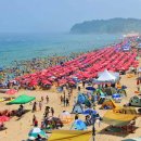 오션파크호텔 이미지