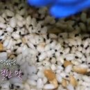 우리과자 이미지