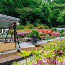 가평계곡펜션루안 이미지