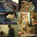 감동농장(2) 이미지