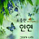 김정순 Daum카페