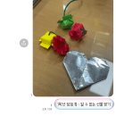 연제도서관 강당 | [연말일기🥶]부산현대미술관/블랙업커피 을숙도점/부원냉삼집/bcd 커피/덴푸라찬/