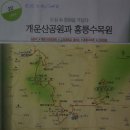 개운산공원 Daum카페