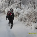 꿈의궁전 이미지