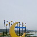 함안 악양둑방길 5만5천여평 양귀비 개화상황 5월 13일 방문후기