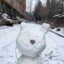 저 고양이 눈사람 만들었어여!!!!!!🐱⛄️ 이미지