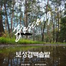 솔밭쉼터 | 보성가볼만한곳 다락금유원지 보성겸백솔밭 위치 여름 방문 후기