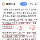 검찰개혁의핵심은 검찰청 폐지로 기소청 혹은 중수청 분리만이 대안인가. 사인소추주의도입문제부터 검찰내부자동안정장치강화가 핵심 이미지