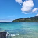 할망꽃쉼팡 민박 이미지