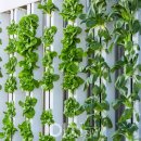 산업농장 이미지