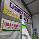 브라운도트 옥천점 | 꽃샘추위와 함께하는 1박2일 봄꽃여행 下:: 구례 산수유