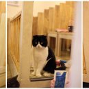 테이블에이 이미지