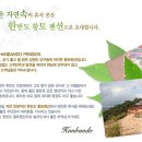 자연속의휴식공간 이미지