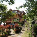 통나무펜션 이미지