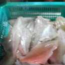 공현진항 이미지