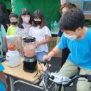 마지초등학교 이미지