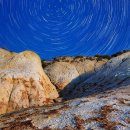 페퍼민트차의 효능과 부작용 이미지