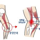 스웨이 이미지