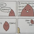 데이지수