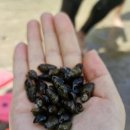 광품폭포(1) 이미지