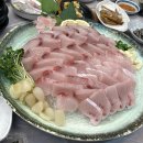 바다속으로 | [충주/대소원면] 충주 방어, 굴, 해산물, 제철음식 맛집 스끼다시가 푸짐한 횟집 ‘바다속으로’