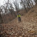 고골농장 이미지