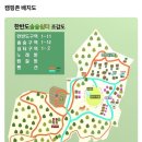 [강원도 영월] 반려동물 동반 가능한 캠핑장 한반도 솔숲 쉼터