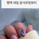윤샤르망뷰티