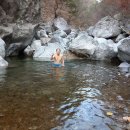 터골1 Daum카페
