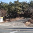 새남식당 이미지