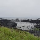 대한민국상이군경회제주특별자치도지부 이미지