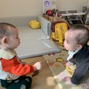 다인꽃방 Daum카페