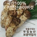 부림3길 이미지