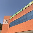 부산 강서구 쌀국수 맛집 베트남 전통 방식으로 베트남 요리 맛집 윤율 내돈내산 방문후기