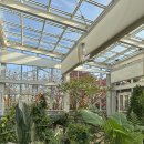 중원-72 | 위례에서 가까운 성남시 식물원, 7개월 아기 실내 온실 나들이 후기