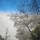 엠(M)마트 이미지