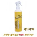 디아이티코리아 이미지