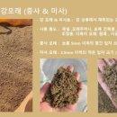 정우골재 이미지