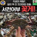 꽃게야 이미지